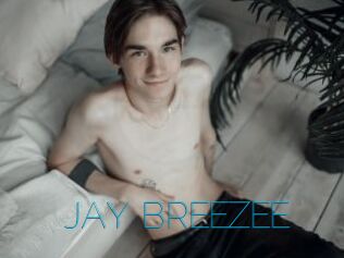 JAY_BREEZEE