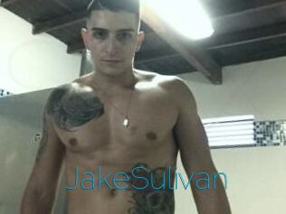 Jake_Sulivan