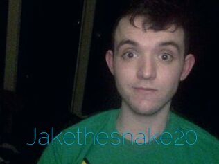 Jakethesnake20