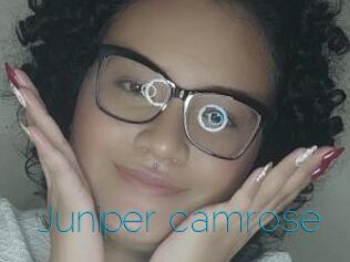 Juniper_camrose