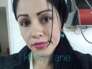 KinkyVane