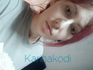 Karinakodi