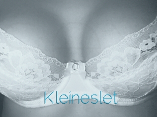 Kleineslet