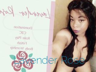 Lavender_Rose