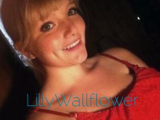 LillyWallflower