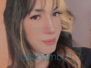 Lisahumbolt