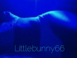 Littlebunny66