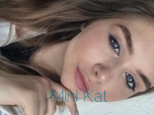 Mini_Kat