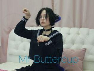 Mr_Buttercup