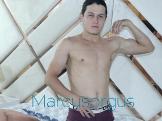 Marcusorgus