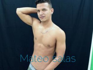 Mateo_salas