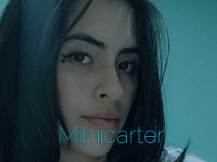 Minjicarter