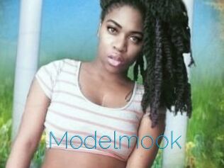 Modelmook