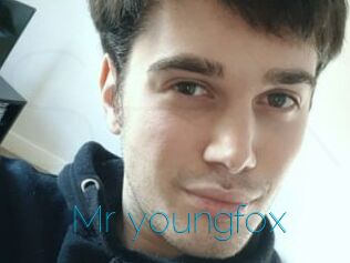 Mr_youngfox