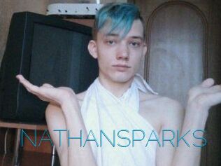 NATHAN_SPARKS