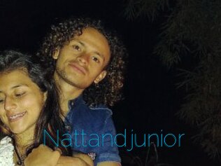 Nattandjunior