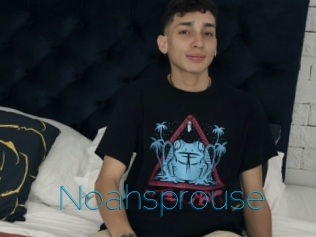 Noahsprouse