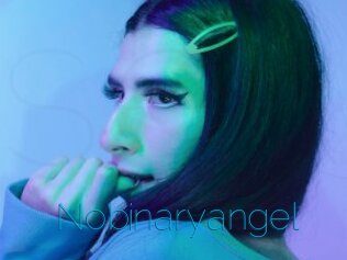 Nobinaryangel