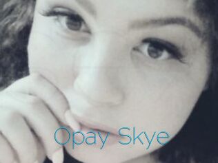 Opay_Skye