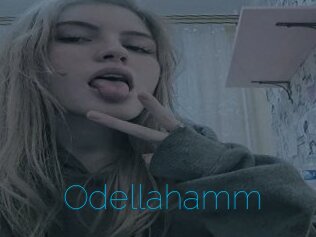 Odellahamm