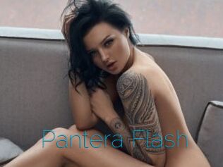 Pantera_Flash