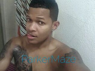 Parker_Maze