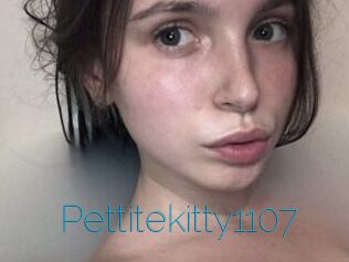 Pettitekitty1107