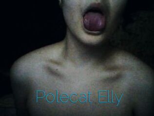 Polecat_Elly