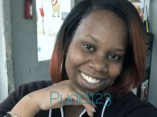 Pudd123