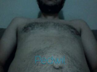 Pedwil