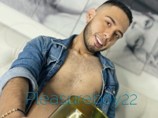 Pleasureboy22