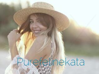 Purefelinekata