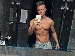 SANDRO_MUSCLE