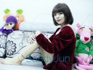 SandyJun