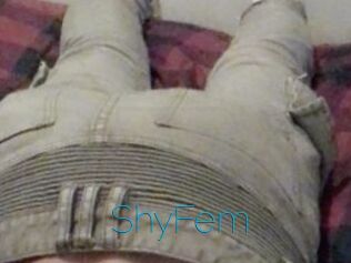 ShyFem