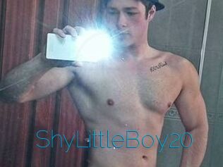 ShyLittleBoy20