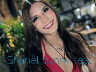 Shanel_bunny_real