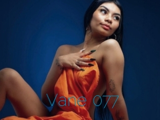 Vane_077