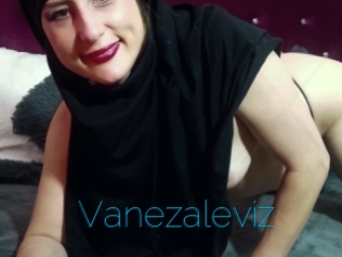 Vanezaleviz