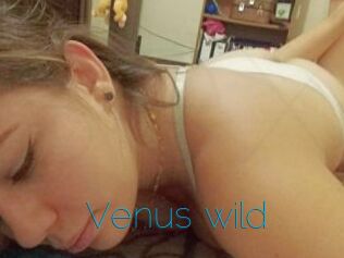 Venus_wild