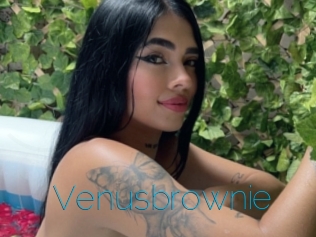 Venusbrownie