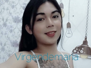 Virgendemaria