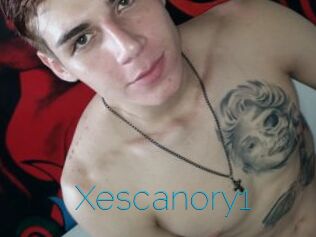 Xescanory1