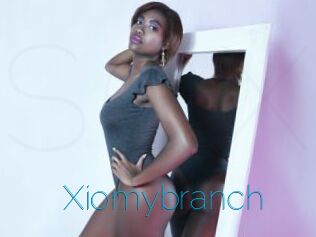 Xiomybranch