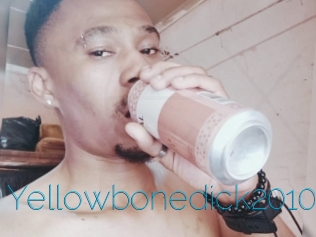 Yellowbonedick2010